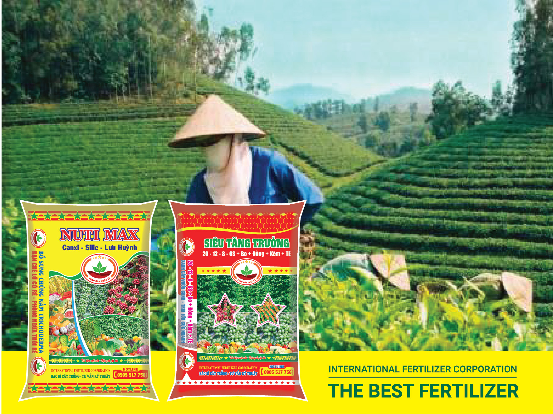 HƯỚNG DẪN SỬ DỤNG PHÂN BÓN QUỐC TẾ BÓN CHO CHÈ - MÍA